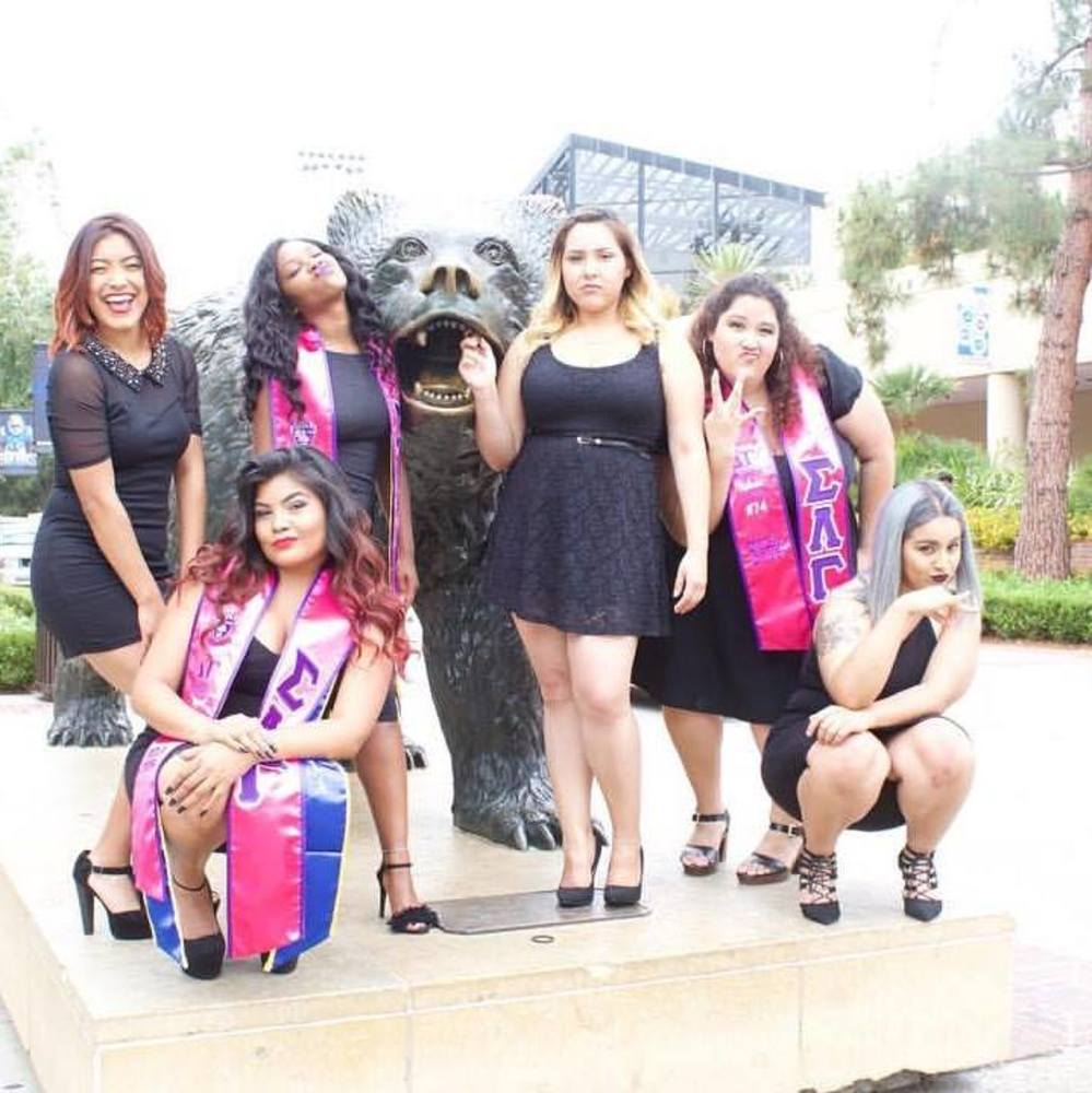 Meet your Posher, Belle